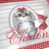 Les Trésors De Lily [N7879] - Small Tray 'Joli Chaton' Gray Red - 24x18 Cm