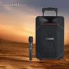Edifier PP208 Portable Bluetooth Speaker with Wireless Microphone (CN Version)