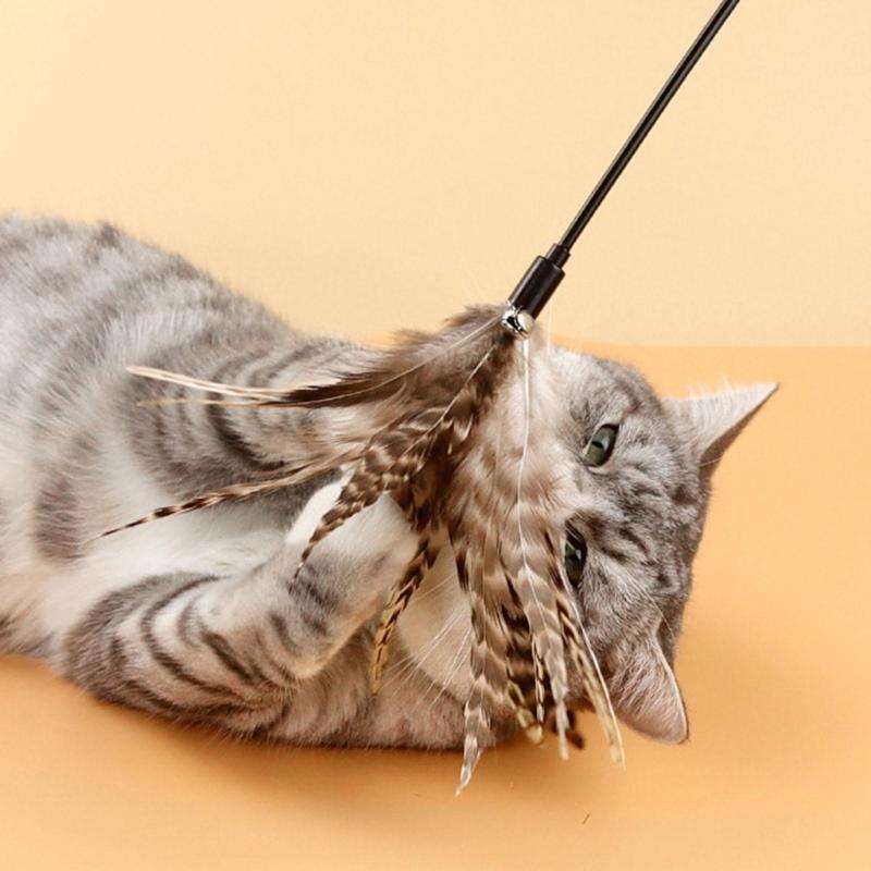 Feder Kätzchen Quaste Spielzeug Kätzchen Lustig Bunte Stange Katze Stab Spielzeug Haustier Katze Spielzeug Interaktiver Stock Haustier Katze Jagd Zubehör