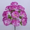 18 Heads Chrysanthemum Bundle Mini Qingming Festival Holiday Flower  Home Decorative