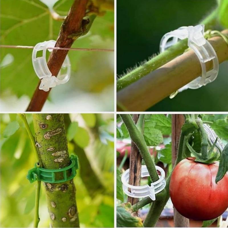 100/200/300Pcs Plant Support Clips Reusable Plant Binding Clip Tomato Trellis Clips for Vine Vegetables Grow Upright Healthier
