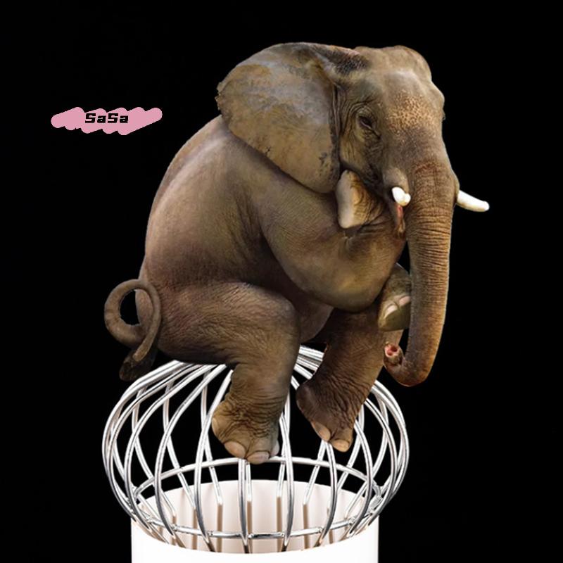 S-1Pc Strainer Garden Landscaping Floor Drain Gutter Guard 304 Stainless Steel Mesh Cover Stops Leaves Seeds Debris Gutter