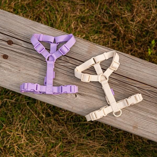 Petrium Light Koşum Köpek Koşumu Göğüs Kayışı Tasma, Mor M