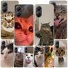 Pet Cat Funny Memes Phnoe Case for Xiaomi Poco X5 X6 X7 Pro X4 Gt F7 Ultra M8 M7 Redmi 15C 15 13C 13 12C 12 Unique Cover Coque P