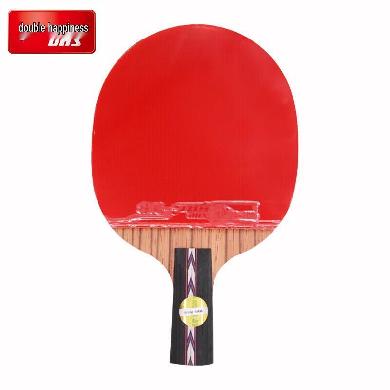 DHS Hurricane Series Table Tennis Racket
