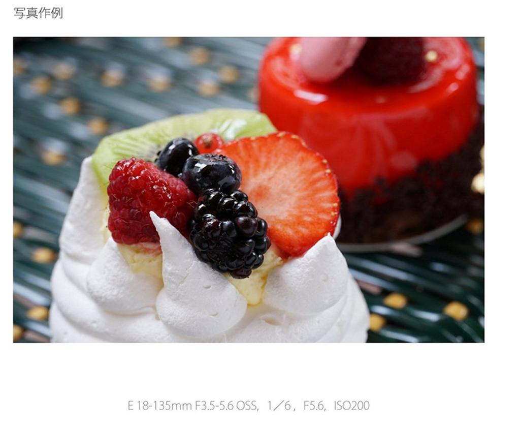 Sony E OSS Zoom Lens for Sony Format 18-135mm F3.5-5.6 High-Power E-Mount APS-C (SEL18135)