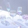 Rainbow Red Wine Glass Set Household Goblet Colorful Champagne Glass Light Luxury Electroplated Crystal Glass Wine