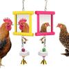 Specchio per pollaio Altalena Specchio per polli Macina becco Pietra molare Sicuro Multifunzionale Galli Galline Intrattenimento per Giardino