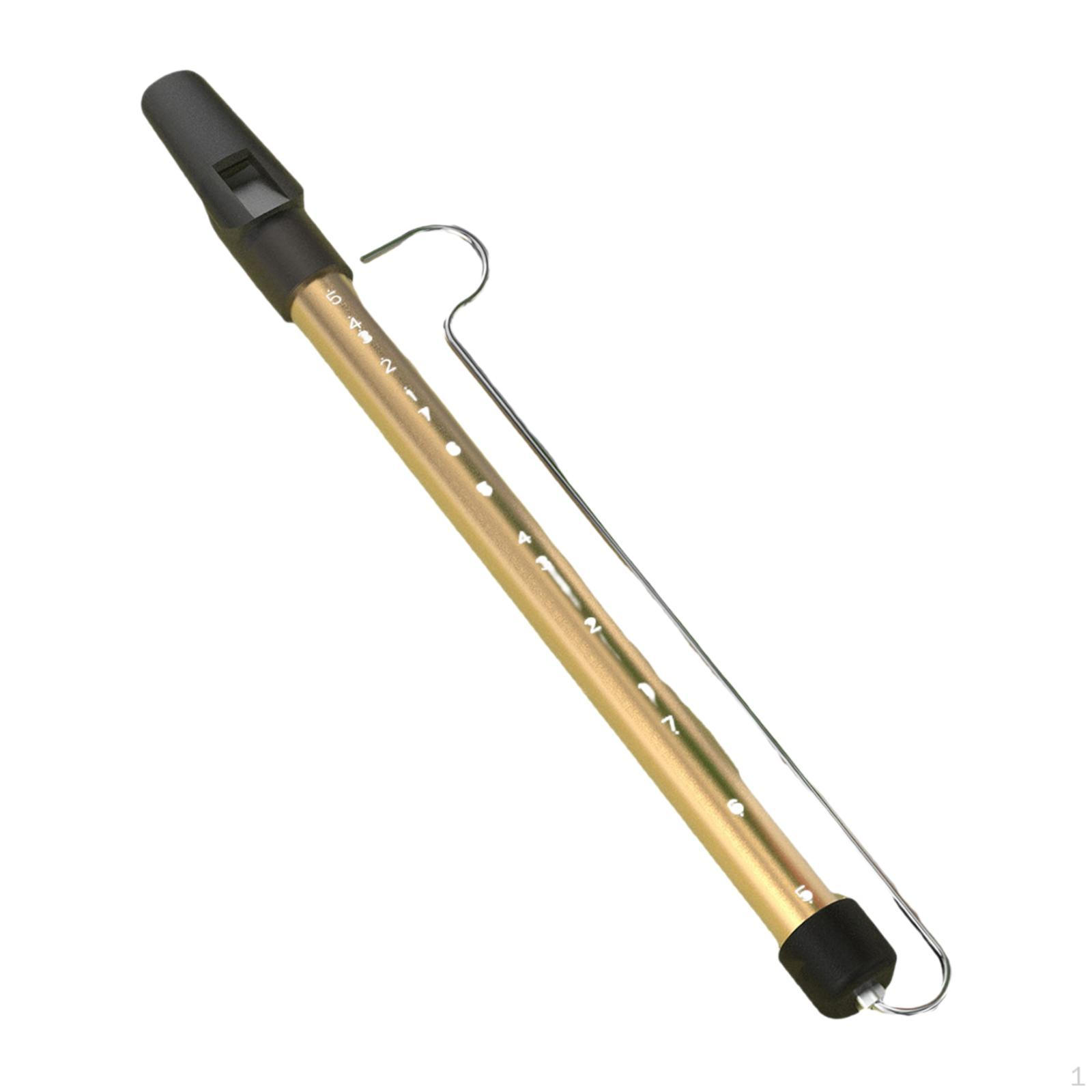 

Слайд-свисток для взрослых, игрушка, музыкальный духовой инструмент для школьных призов, исполнителей, детей gold