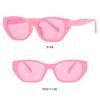 Cat Eye Irregular Frame Sunglasses Women Men New Fashion Luxury  Sun Shade Glasses Outdoor Travel Beach Eyewear UV400