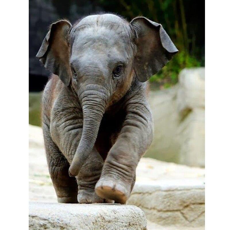 DIY Elephant 5D Diamond Maling Full Rund Drill Animal Diamond Brodery Cross Stitch Kits Rhinestone Wall Art Home Decor
