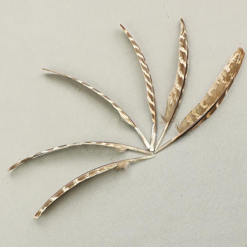 

Female Pheasant Knife Collar 15-20Cm Female Pheasant Feather Natural Feather Diy Decorative Feather Accessories естественный