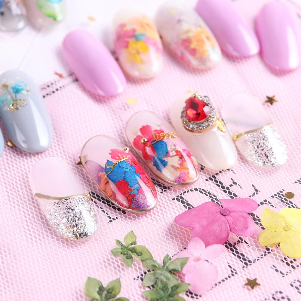 3D Nail Manicure Dried  Flowers 12 Kinds Colorful Realistic Diy Crafts Resin Jewelry Ornaments Phone Cases Invitation Cards Decor