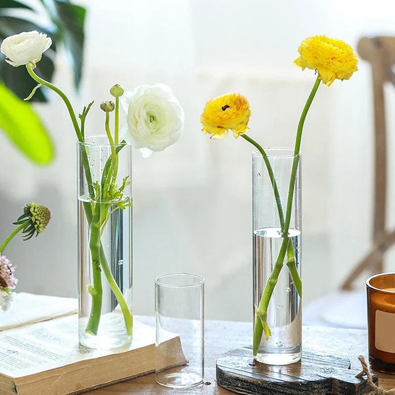 Hydroponics Plants Desktop Glass Planter Vase Glass Vase Transparent Cylinder Flower Vase Bedroom Desktop Home Decoration