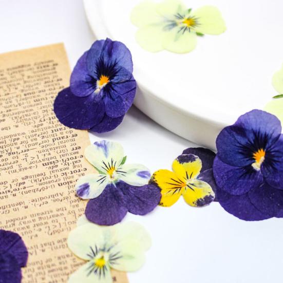 Yousheng 24 Buc. Flori Naturale Presate Uscate DIY Artă Meșteșuguri Topper Tort Decorare Cocktailuri Rășină Bijuterii Scrapbooking Semne de Carte Confecționare Colorat