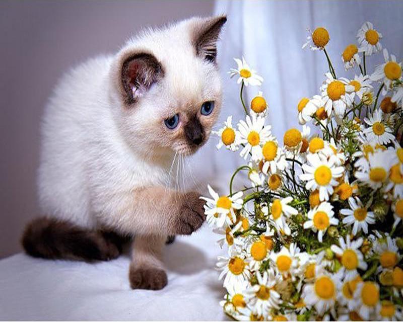 Diamond Painting Religious Figures Full Square Round New Arrival 5D DIY Diamond Embroidery Princess Cross Stitch Needlework Home Decoration