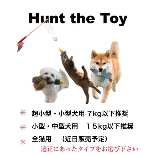 Hunt the Toy Dog Teaser That Lets You Retrieve Toys for Very Small and Small Dogs 2 - (pole + Toys)