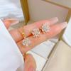 Full of Zirconium Exquisite Wind Copper Micro-inlaid Earrings Necklace Set Combination
