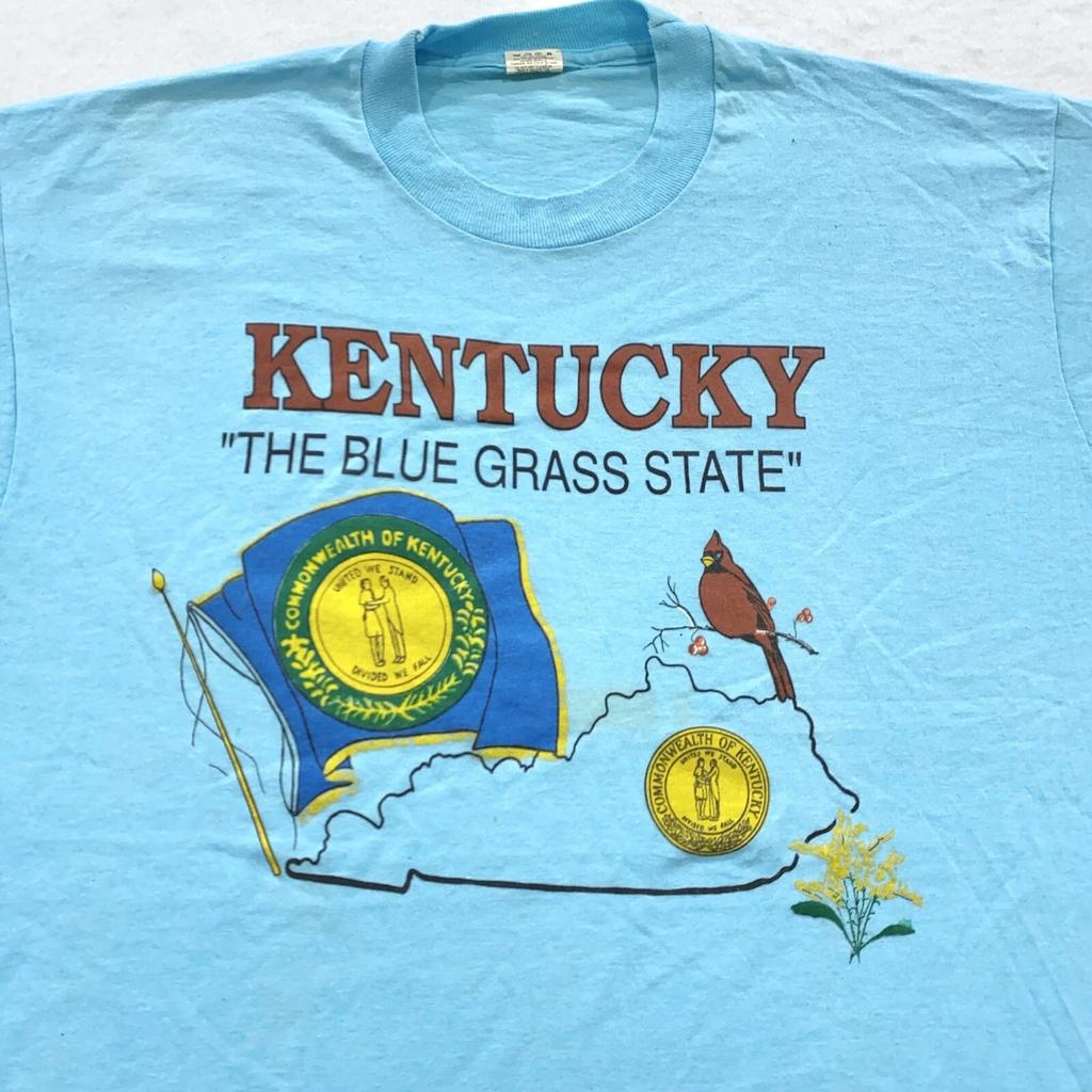 Vintage 80s KENTUCKY BLUE GRASS STATE T-Shirt MEDIUM/LARGE Soft Thin Cardinal