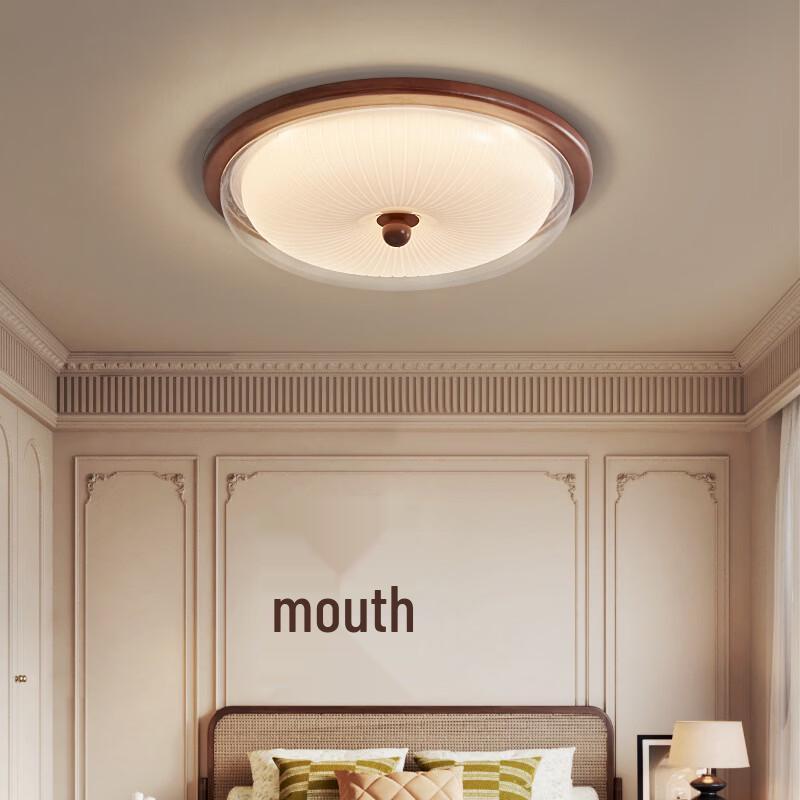 Oeny LED Ceiling Light