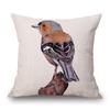 European Bee Eater Roller Bird Goldfinch Black Headed Bunting Kingfisher Drawing Print Decorative Cushion Cover Pillow Case