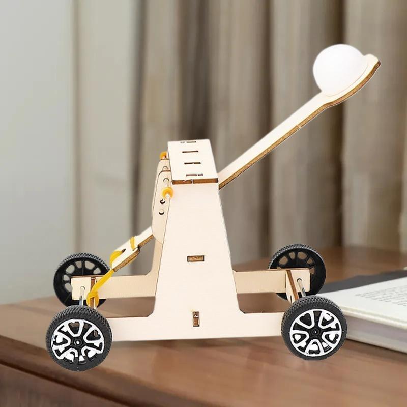 1 Set Wissenschaftsexperimentierkasten & Bildungsmodellspielzeug Physik Wissenschaft Lehrmittel Für Kinder Geschenk DIY Katapultspielzeug