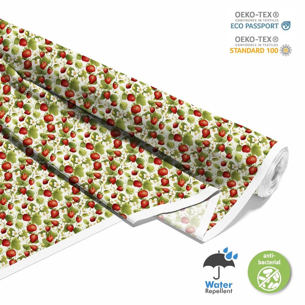 Outdoor Dekostoffe Oxford - Motiv Obst | Dx6600