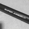 [USED] SUPER JUNIOR 25 Poster Donghae