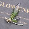 Blucome Nouă broșă cu libelule din zircon, personalitate, acrilic, aripi transparente, insecte, bijuterii cadou pentru femei