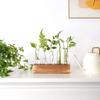 3/4/5 Test Test Tube Vases Wooden Stand Glass Tube Vases Hydroponic Plants Container  Home Decor
