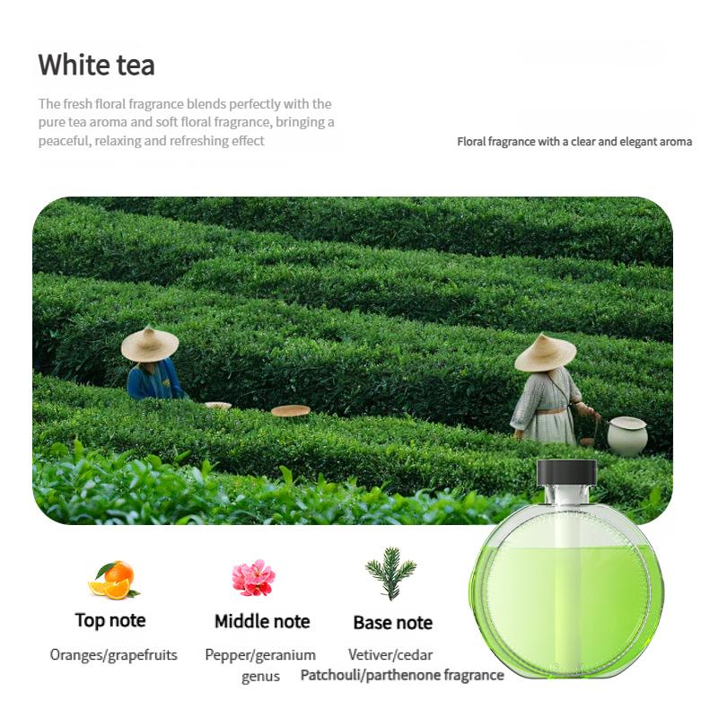 Smart Automatic Essential Oil Diffuser Wall Mounted Aromatherapy Humidifier with Air Deodorizer for Bathroom