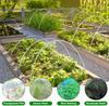 Gartenpflanzen-Rankbogen mit Fiberglas-Stäben und Insektenschutz für Heim-Gartenfreunde
