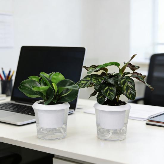 Self Watering Plant Pots Indoor Plants Planter with Reservoir Clear Plastic Round Flower Pot with Wick Ropes for Succulents Herbs Flowers Office Home