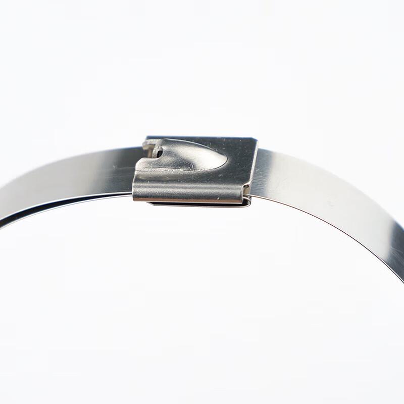 HAISIDIKE 304 Stainless Steel Self-Locking Cable Ties