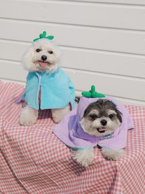 SALTYHEARTY Fruit Robe 2021 GAJI