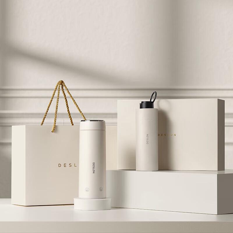 Deslang 8-Level Temperature Control Portable Electric Kettle