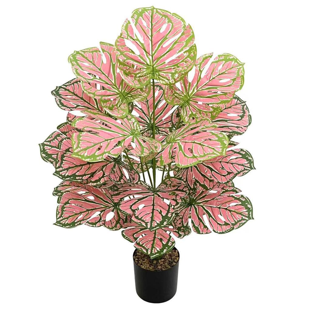 Nordic Style Variegated Monstera: Potted Plant for Home & Garden Decor