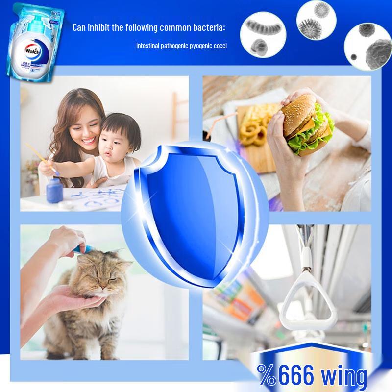 

Walch Healthy Care Antibacterial Hand Sanitizer