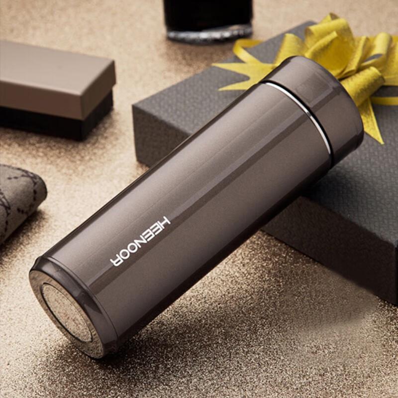 Heenoor Insulated Tea Mug with Filter