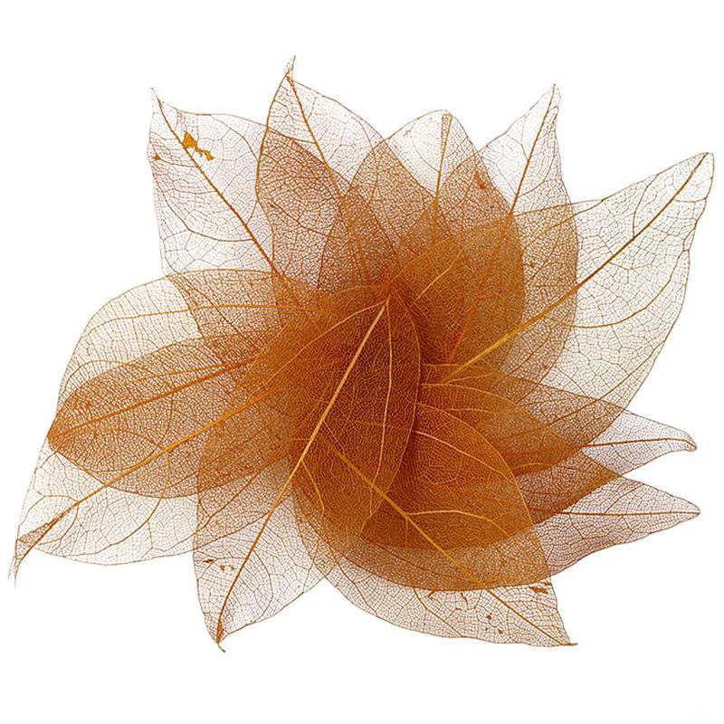 Dried Flowers Natural Skeleton Leaf Vein DIY Handmade Materials Nail Art Flowers Material for Wedding Party Home Decor-20/24pcs