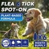 Fleas and Ticks for Cats Over 9 , Topical Flea , Fast-Acting & Long-Lasting Fleas Control for Cats, 6-Dose Supply2.5ml