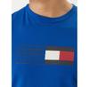Футболка Tommy Hilfiger Brand Love Box