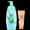Rejoice Oil Control Anti-Dandruff Shampoo & Repair Conditioner Set