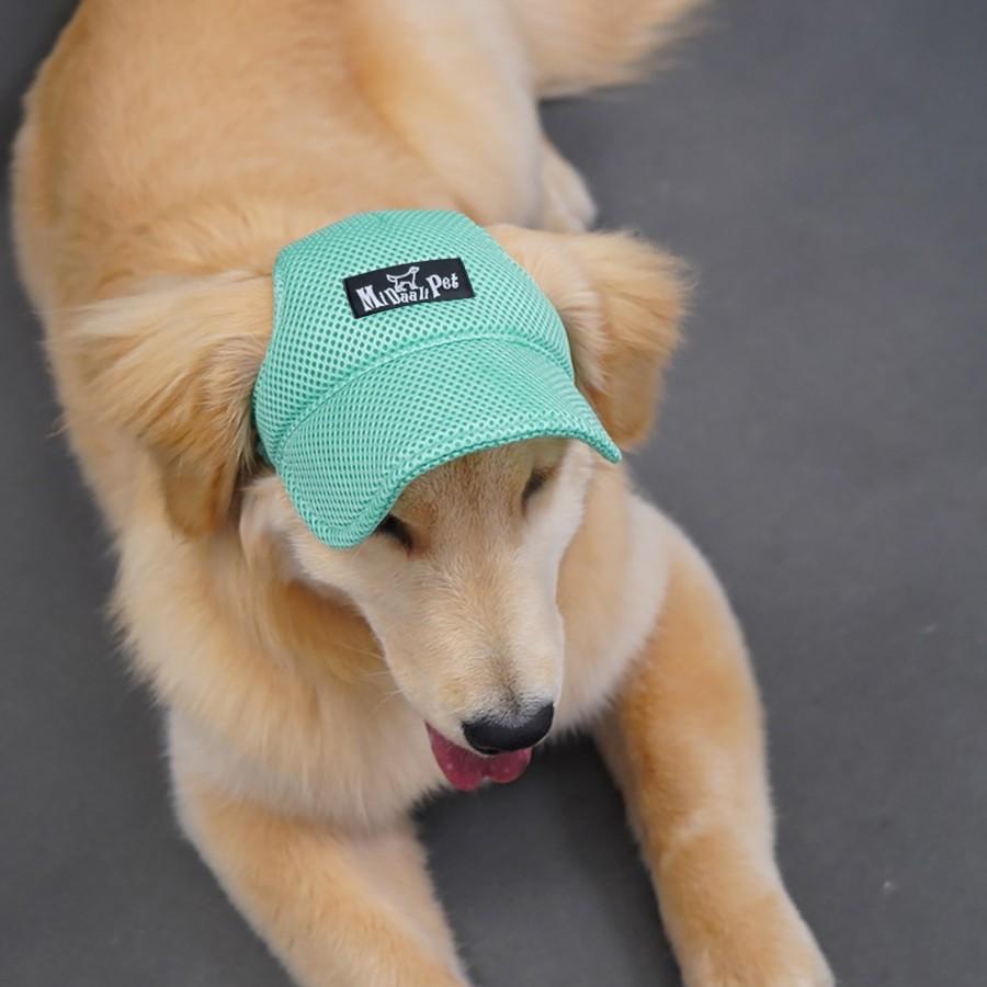 Golden Retriever Dog Hat Sunscreen Hat Dog Sunscreen Summer Pet Spring and Autumn Breathable Sunscreen Leak Ear Small Dog