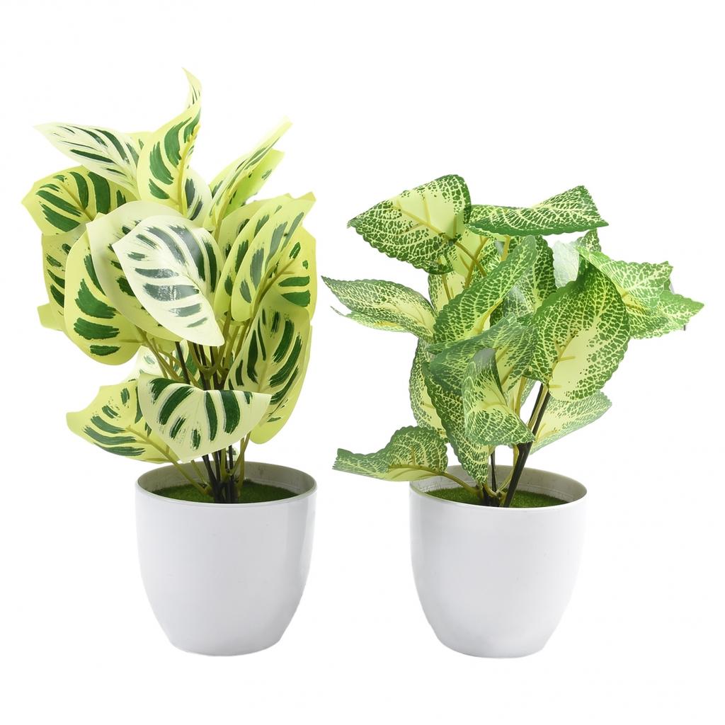 Flower Foliage  Potted Bonsai Office Decor