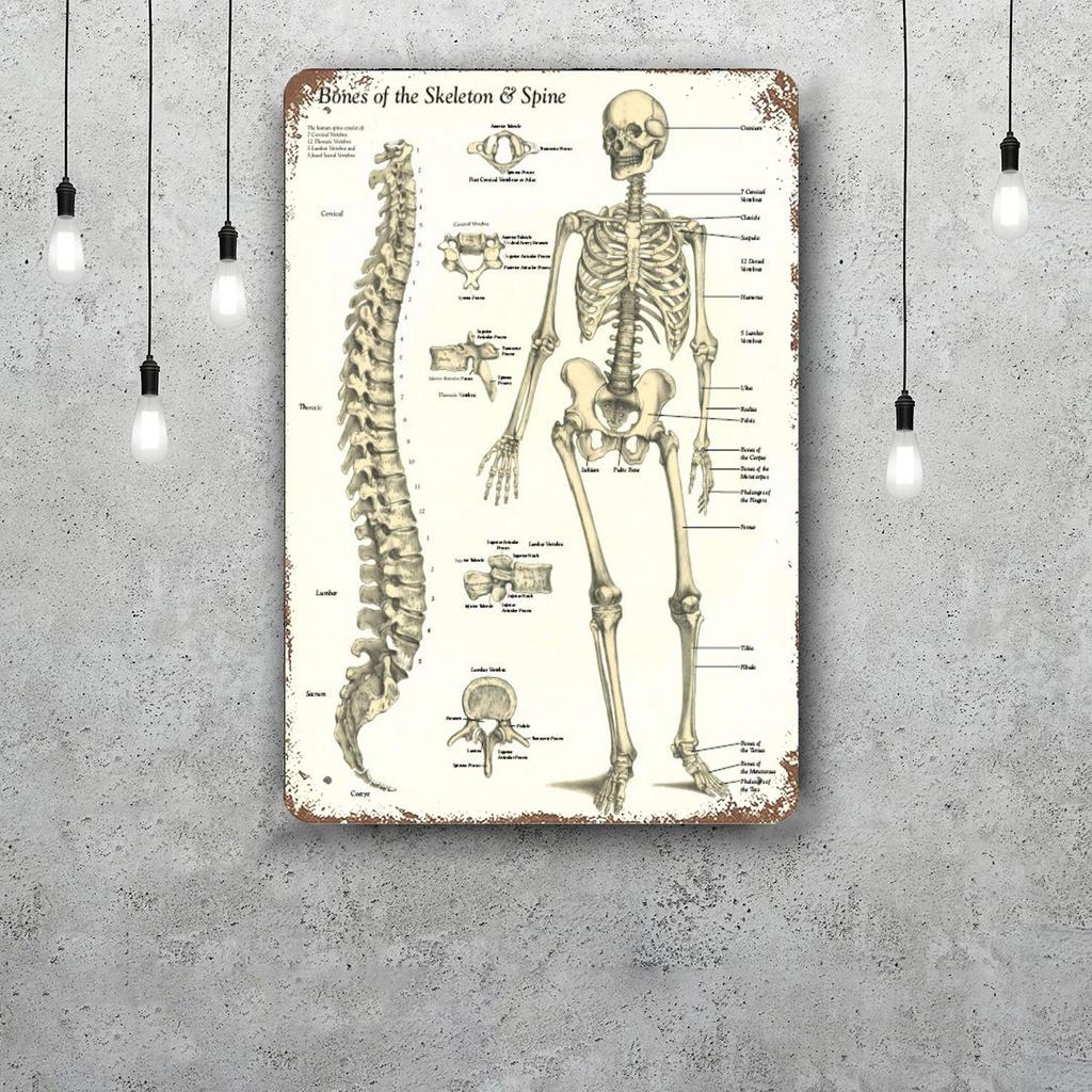 skeleton Vintage Tin Sign Home Decor Wall Decor Art Wall Mural Room Decoration Decor Retro Metal Sign Plate Bar Posters