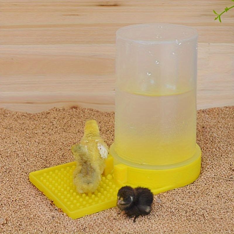 1 st Kycklingvattnare, Automatiskt matningssystem förhindrar drunkning, Förser med färskt vatten för uppfödning av friska kycklingar för bakgårdshönsuppfödare, Jordbrukare