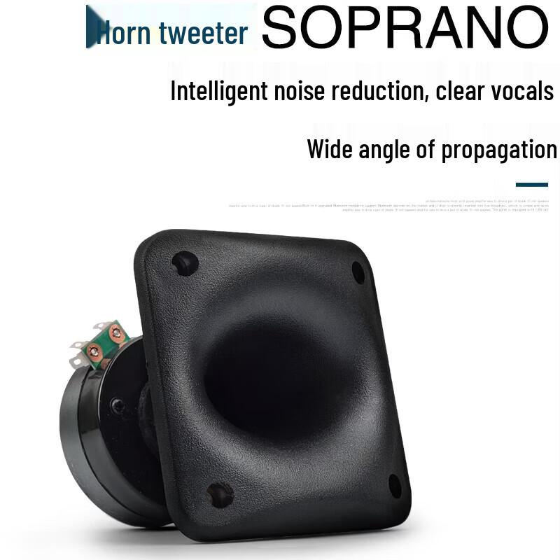 KAXISAIER Professional Passive Full-Range Speaker CN Plug (adapter Included)