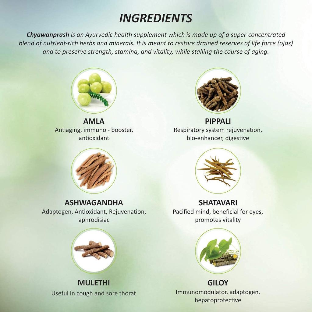 Baidyanath Asli Ayurved Chyawanprash Special 950g + 100g Free Natural Immunity Booster For Adults Kids