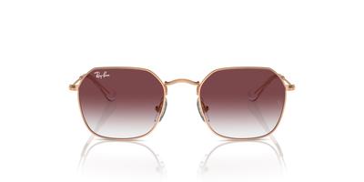 Sunglasses MINI JIM 49 RJ9594S [Ray-Ban] 291/8H